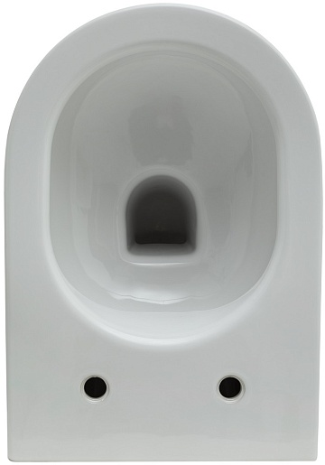 Allen Brau Унитаз с инсталляцией Reality 4.32006.20/8.9466.0.000.000.1 белый глянец – картинка-19